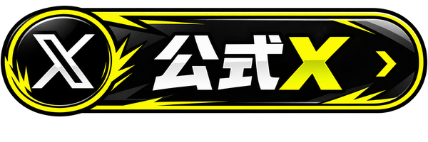 公式X